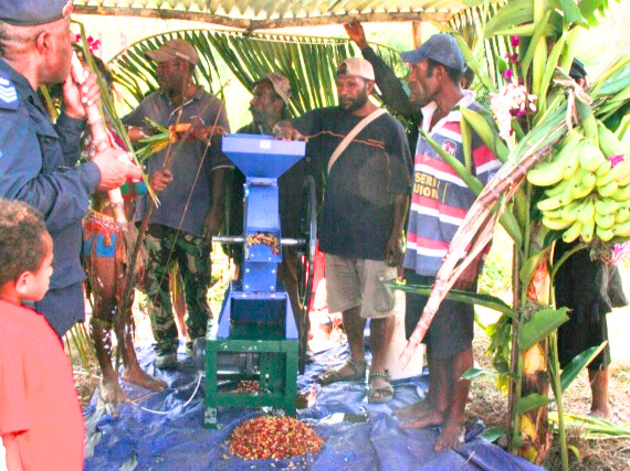 Coffee bean processing