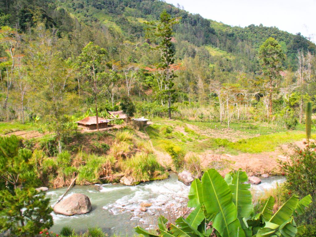 Landscapes of Papua New Guinea