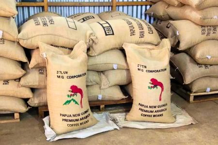 papua new guinea coffee beans