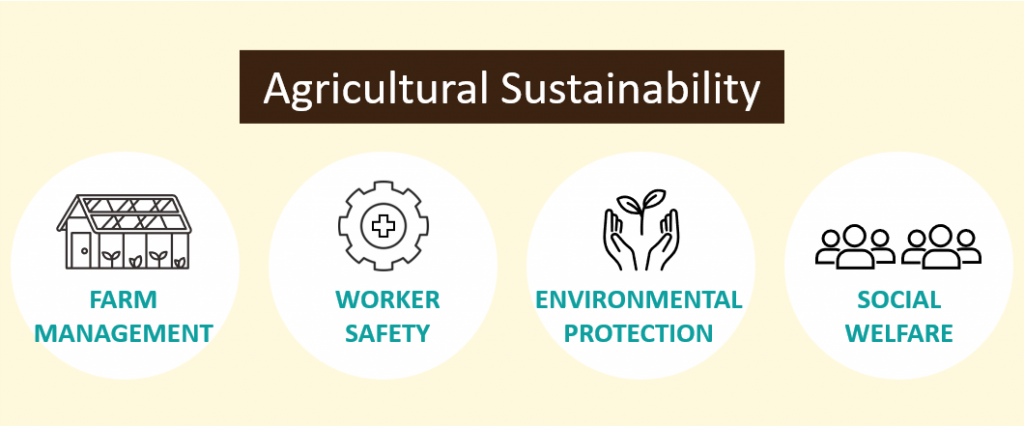coffee agricultural sustainability