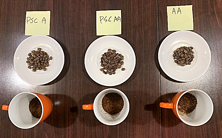 Coffee Cupping Test, Quality assessment, PSC A, PSC AA