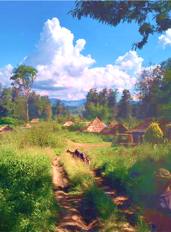 Norikorivillage