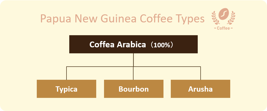 Papua New Guinea coffee types Typica, Bourbon, Arusha