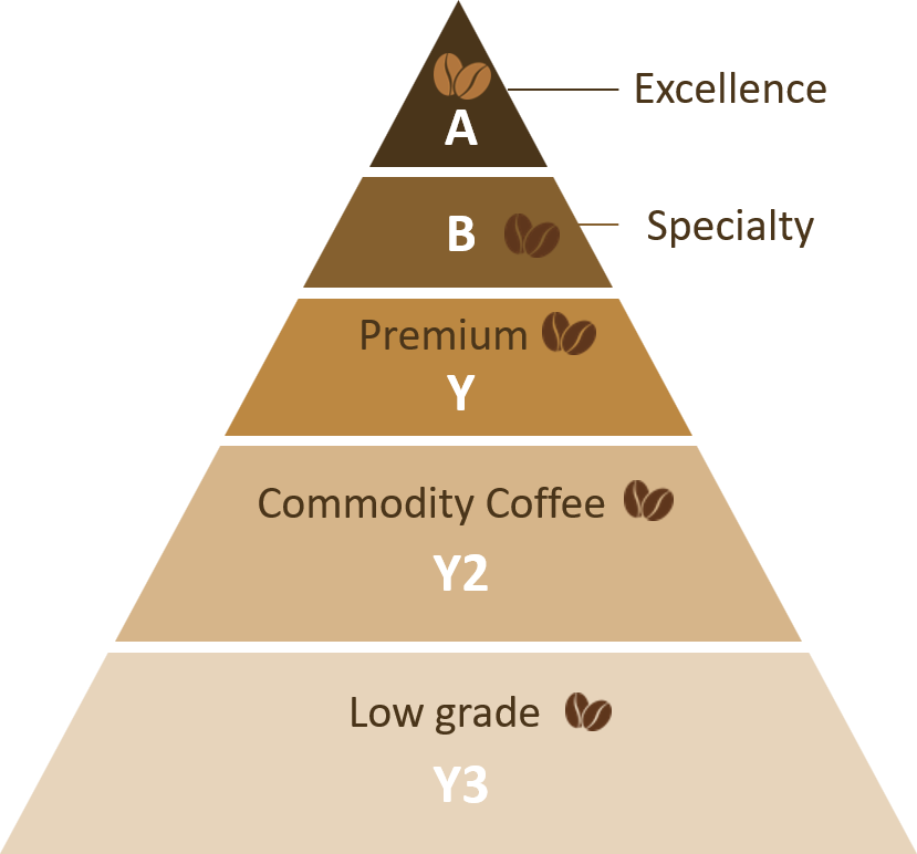 coffee beans New grading, standard Arabica