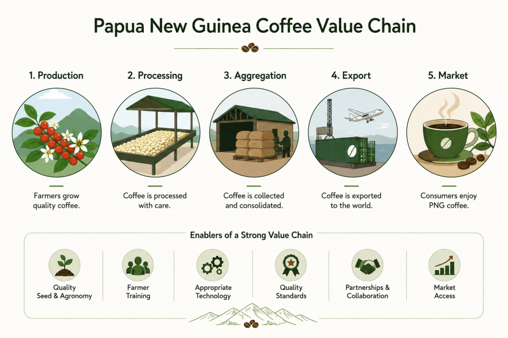 Papua New Guinea coffee value chain infographic showing coffee production, processing, export, and specialty coffee market access
