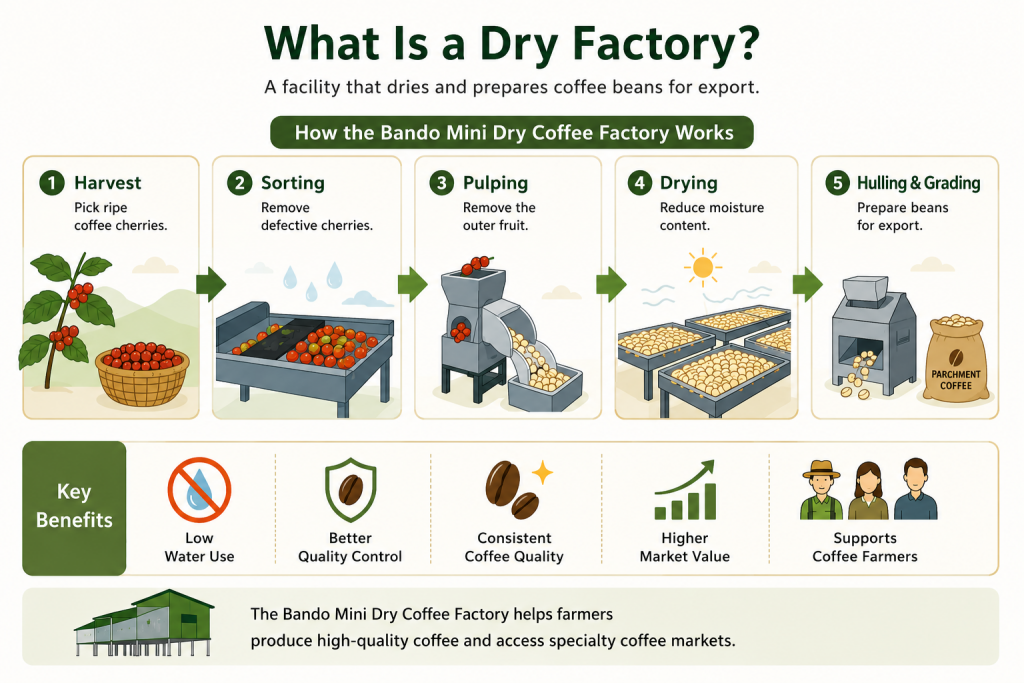 Bando Mini Dry Coffee Factory workflow for coffee quality improvement and specialty market access in Papua New Guinea